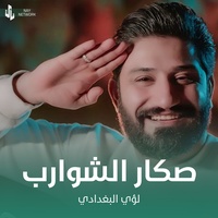 صكار الشوارب