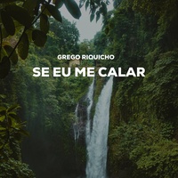 Se Eu Me Calar