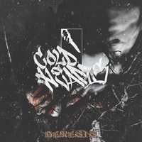 NEMESIS