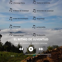 El Son de Amoltepec