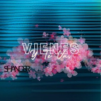 Vienes Y Te Vas