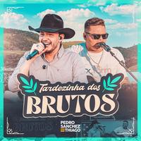 Encantos da Natureza / O Prato do Dia - Ao Vivo