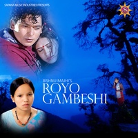 Royo Gambeshi