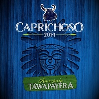 Guerreira da Mística Aldeia