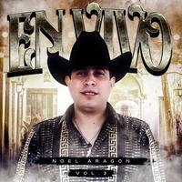 La pava (En Vivo)
