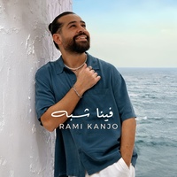 فينا شبه