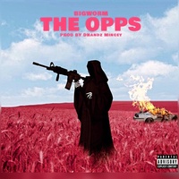 The Opps