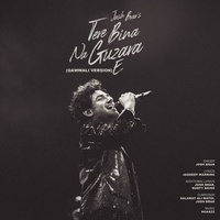 Tere Bina Na Guzara E (Qawali Version)