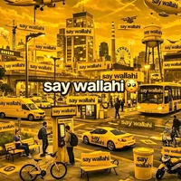 say wallahi bro song