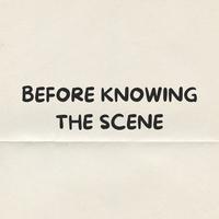 BEFORE KNOWING THE SCENE