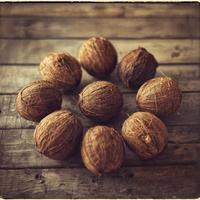 Coconut Shells and Sunday Fights