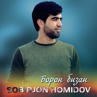 Борон бизан