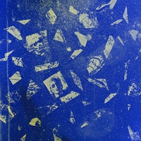 PASLPERMIS