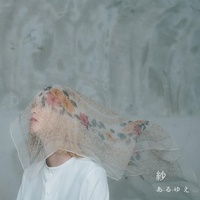 Veil