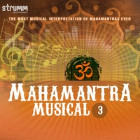 Shuklambaradharam Vishnum – Vishnu Shloka