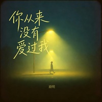 你从来没有爱过我 - 周晓鸥对唱版
