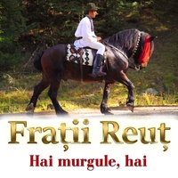 Hai murgule, hai 2019