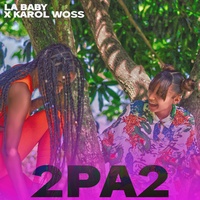 2Pa2