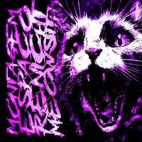 Montagem Espaco Renicht Meowsith - Ultra Slowed