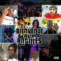 Bienvenue aux antilles