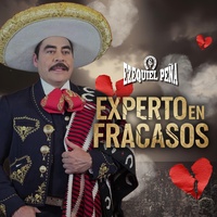 Experto En Fracasos