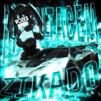 MONTAGEM VOZES ZIKADO - Slowed