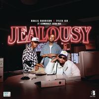Jealousy (Edit) (feat. Leemckrazy & Ceeka RSA) (Radio Edit)