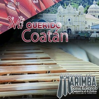 Cuatro pájaros