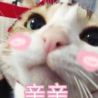 想要你知道(剪辑版)