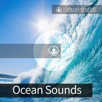 Ocean Sounds