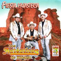 Fiesta Huasteca