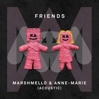 FRIENDS (Acoustic)