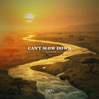 Can't Slow Down