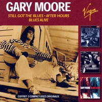 Still Got The Blues - Live from the Blues Alive Tour, U.K./1993
