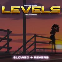 LEVELS , Sidhu Moosewala Slowed + Reverb