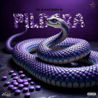 Pildora