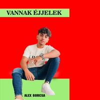 Vannak éjjelek