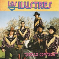 Botas Cowboy