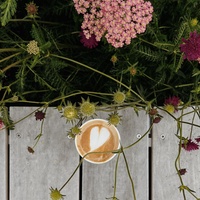 Love Story - Indila (Fairy Version)