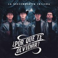 ¿Por Qué Te Tengo Que Olvidar? - En Vivo
