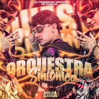 Montagem Orquestra Sinfônica