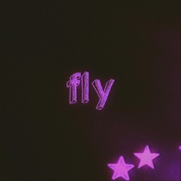 Fly