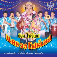 เมาเหล้าเมารัก