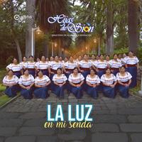 La Luz en Mi Senda