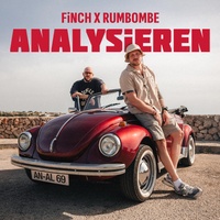 ANALYSiEREN