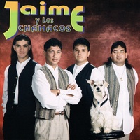 Los Dos Laredos / Acordeones De Oro