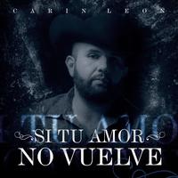 Si Tu Amor No Vuelve - En Vivo