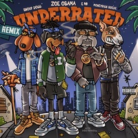 Underrated (feat. MoneySign Suede) (Remix)