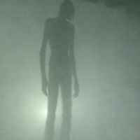 cannibal