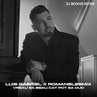 Vreau sa beau cat pot sa duc - Dj Bonne Remix